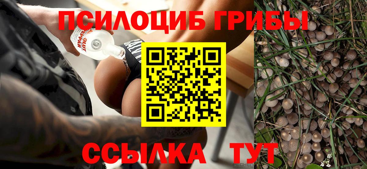 Псилоцибиновые грибы GOLDEN TEACHER  наркотики  Краснокаменск  Вход с VPN  Галлюциногенные грибы мухоморы 